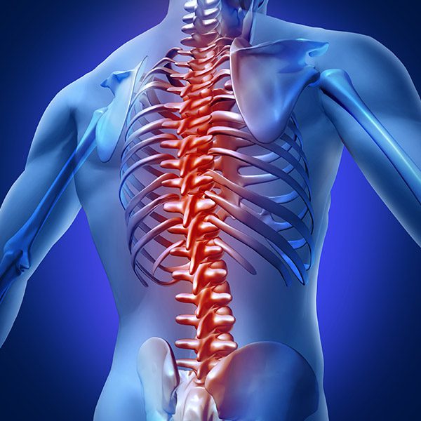 Orthopedics spine specialists