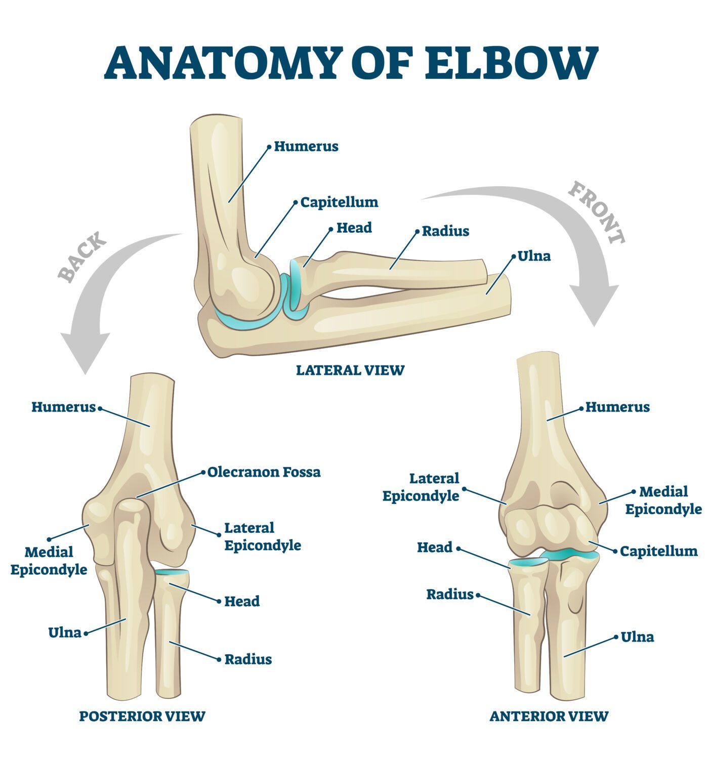 Elbow Surgery_362529159
